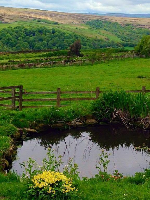 Far Moorside Farm B&B Hebden Bridge Exterior foto